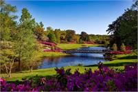  Highland Grove  Landscaping & Farm