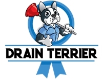  Drain  Terrier